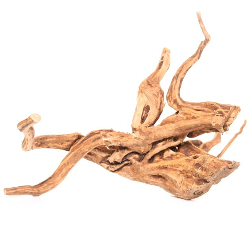Root Small Driftwood